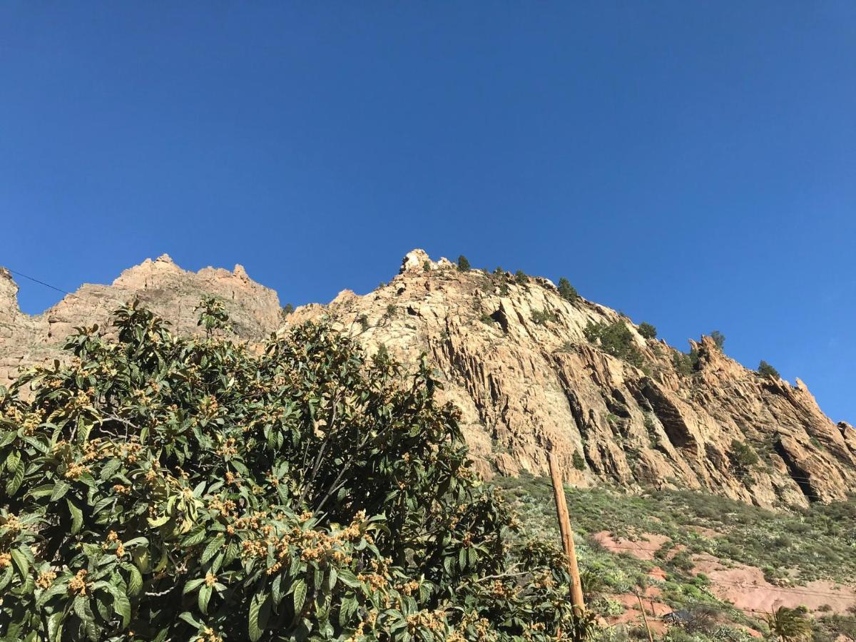 Finca La Sabina Risco Blanco Εξωτερικό φωτογραφία